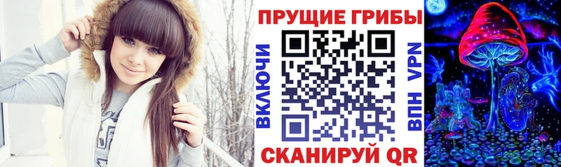 hydra вход  Харовск  Галлюциногенные грибы Magic Shrooms 