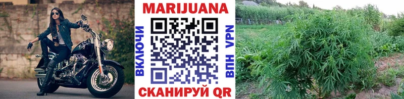 Конопля конопля Харовск